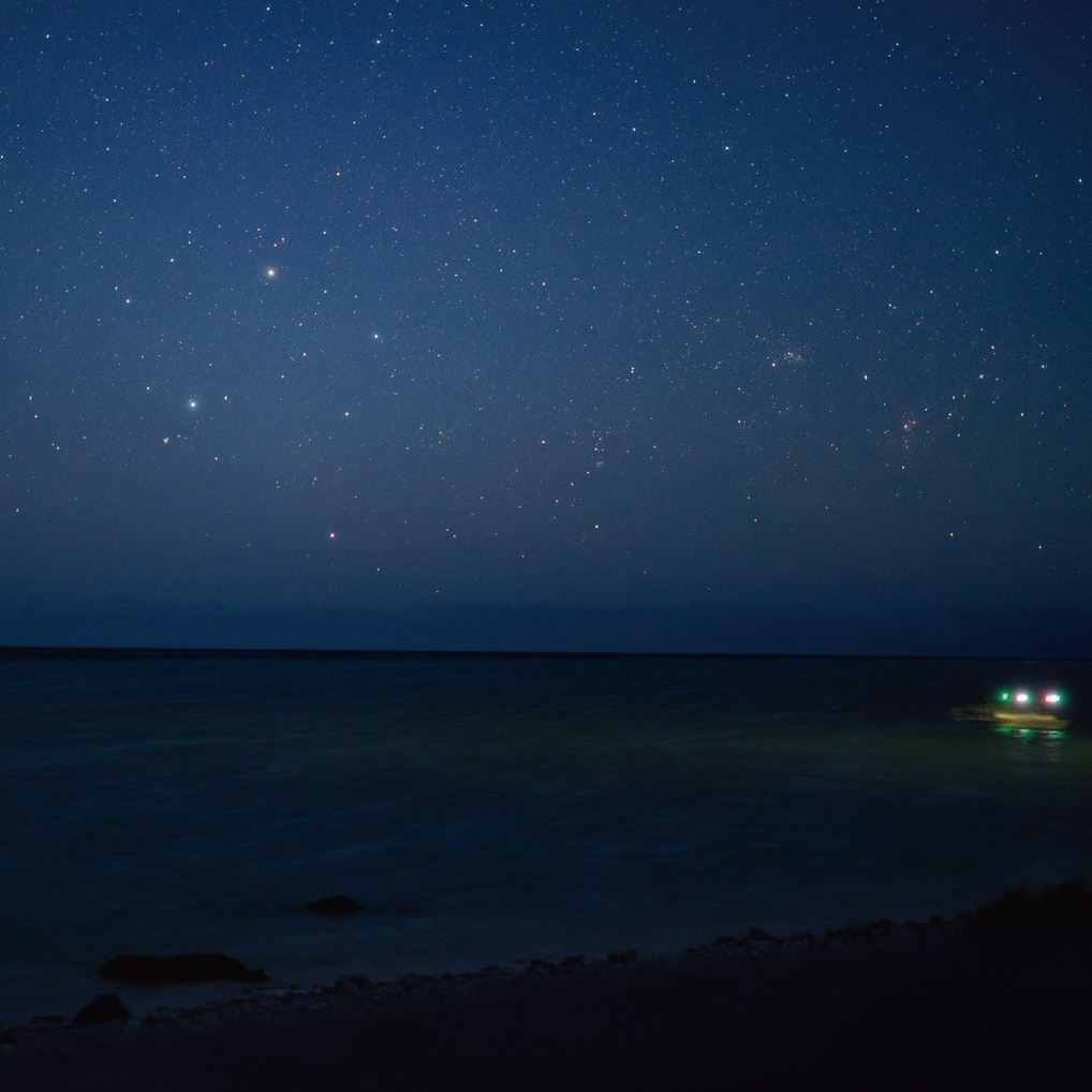 流星群 観賞イベント